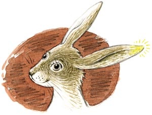 Иллюстрация к книге — Сказки зайца Золотое Ушко [i_052.jpg]