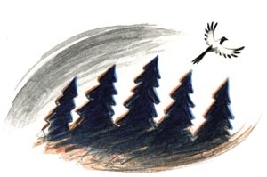 Иллюстрация к книге — Сказки зайца Золотое Ушко [i_055.jpg]