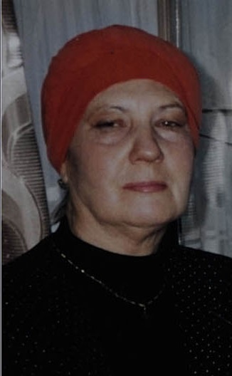 Иллюстрация к книге — На Пришибских высотах алая роса [i_003.jpg]