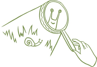 Иллюстрация к книге — Маленький исследователь. 52 увлекательных занятия на свежем воздухе [i_019.jpg]