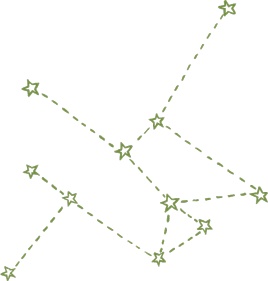 Иллюстрация к книге — Маленький исследователь. 52 увлекательных занятия на свежем воздухе [i_029.jpg]