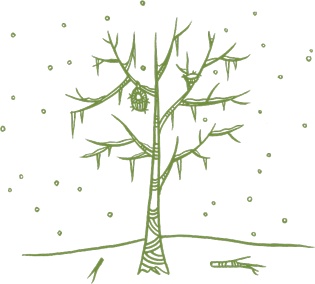 Иллюстрация к книге — Маленький исследователь. 52 увлекательных занятия на свежем воздухе [i_030.jpg]