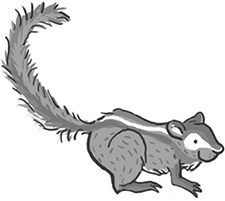 Иллюстрация к книге — Школа волшебных зверей. Выключите свет! [i_006.jpg]