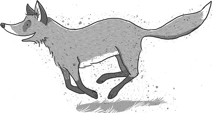 Иллюстрация к книге — Школа волшебных зверей. Выключите свет! [i_018.jpg]