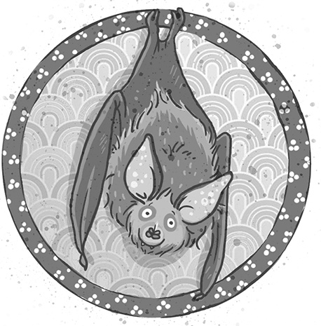 Иллюстрация к книге — Школа волшебных зверей. Выключите свет! [i_020.jpg]