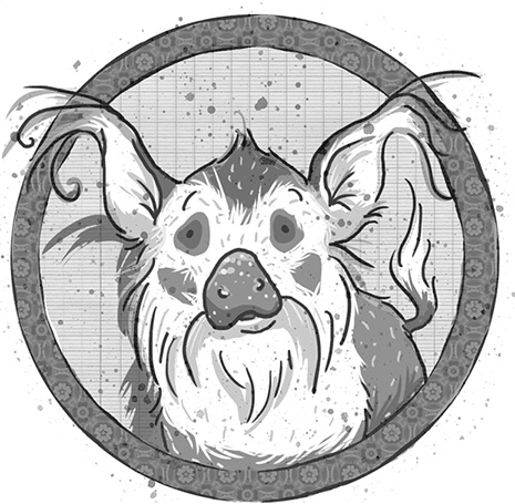 Иллюстрация к книге — Школа волшебных зверей. Выключите свет! [i_033.jpg]