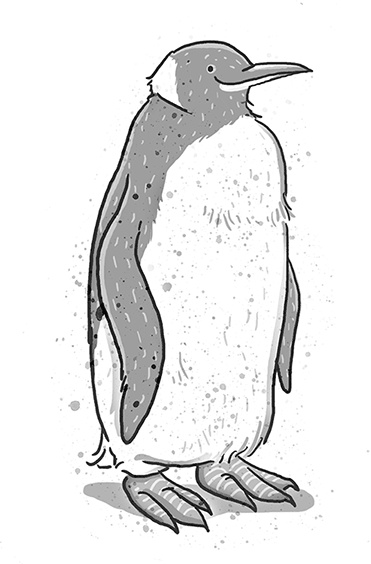 Иллюстрация к книге — Школа волшебных зверей. Выключите свет! [i_035.jpg]