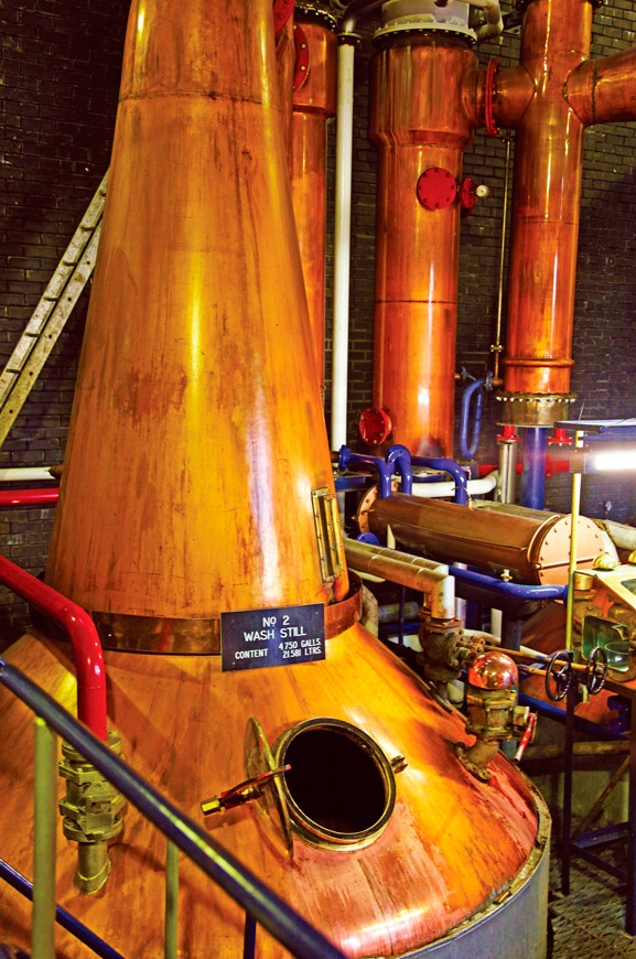 Иллюстрация к книге — Путешествие виски. Легенды Шотландии [i_011.jpg]