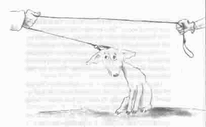 Иллюстрация к книге — Чудаки и зануды [i_004.jpg]