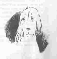 Иллюстрация к книге — Чудаки и зануды [i_006.jpg]