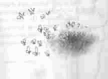 Иллюстрация к книге — Чудаки и зануды [i_010.jpg]