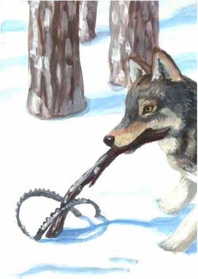 Иллюстрация к книге — Сказки Белого воробья [b00000683.jpg]