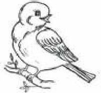 Иллюстрация к книге — Сказки Белого воробья [b00000770.jpg]