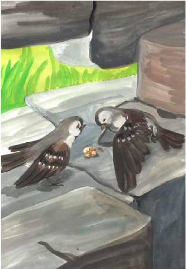 Иллюстрация к книге — Сказки Белого воробья [b00000964.jpg]