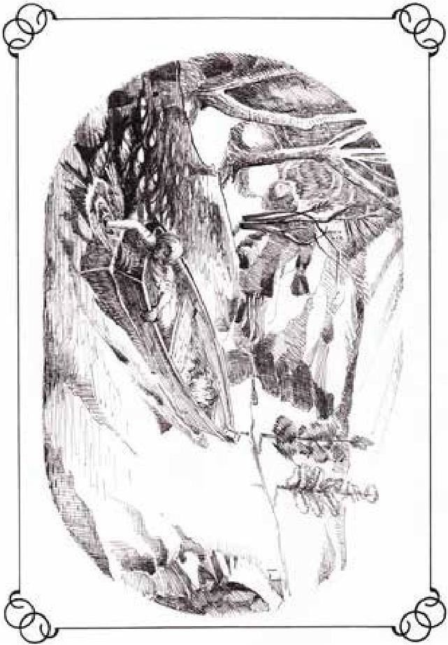 Иллюстрация к книге — Сказки Белого воробья [b00001162.jpg]