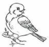 Иллюстрация к книге — Сказки Белого воробья [b00001352.jpg]