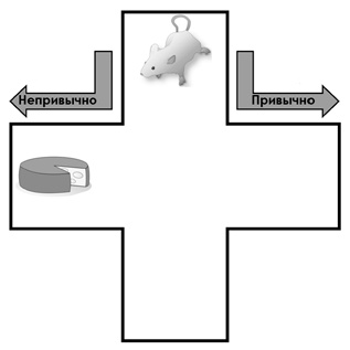 Иллюстрация к книге — НейроЛогика. Чем объясняются странные поступки, которые мы совершаем неожиданно для себя [i_014.jpg]