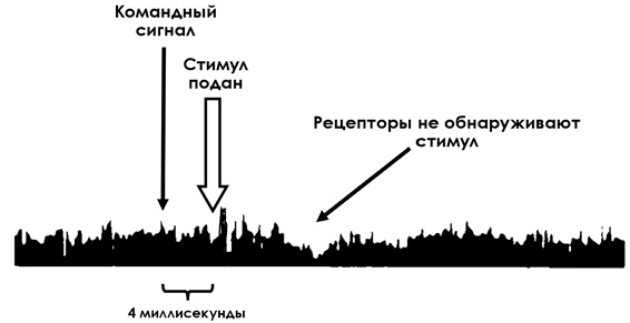 Иллюстрация к книге — НейроЛогика. Чем объясняются странные поступки, которые мы совершаем неожиданно для себя [i_028.jpg]