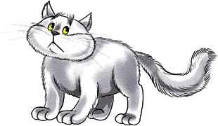 Иллюстрация к книге — Путешествие на айсберге [i_007.jpg]