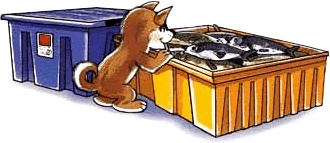 Иллюстрация к книге — Путешествие на айсберге [i_040.jpg]