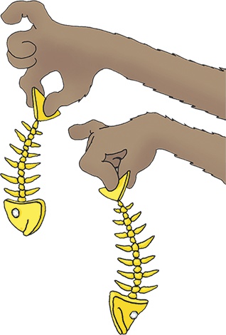 Иллюстрация к книге — Пираты Кошачьего моря. Книга 2. Остров забытых сокровищ [i_065.jpg]