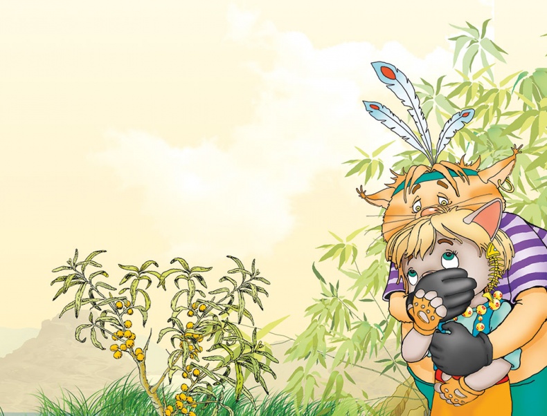 Иллюстрация к книге — Пираты Кошачьего моря. Книга 2. Остров забытых сокровищ [i_068.jpg]