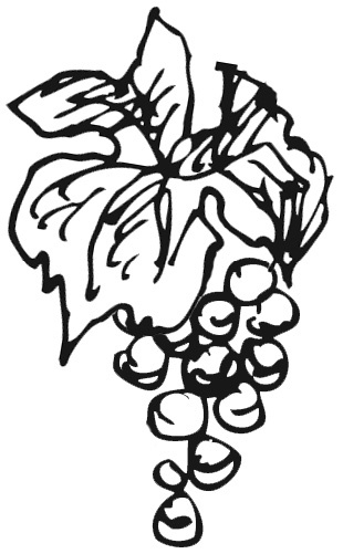 Иллюстрация к книге — Домашнее вино, наливка, самогон и другие алкогольные напитки. Лучшие рецепты [block_001160_vinodelie_page_005_image_0002.jpg]