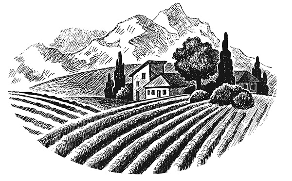 Иллюстрация к книге — Домашнее вино, наливка, самогон и другие алкогольные напитки. Лучшие рецепты [block_001160_vinodelie_page_147_image_0002.jpg]