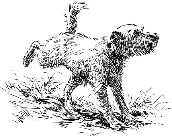 Иллюстрация к книге — Мильтон и Булька [_003.jpg]