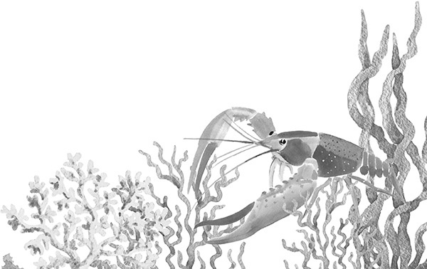 Иллюстрация к книге — Мильтон и Булька [_007.jpg]