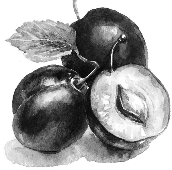 Иллюстрация к книге — Мильтон и Булька [_008.jpg]