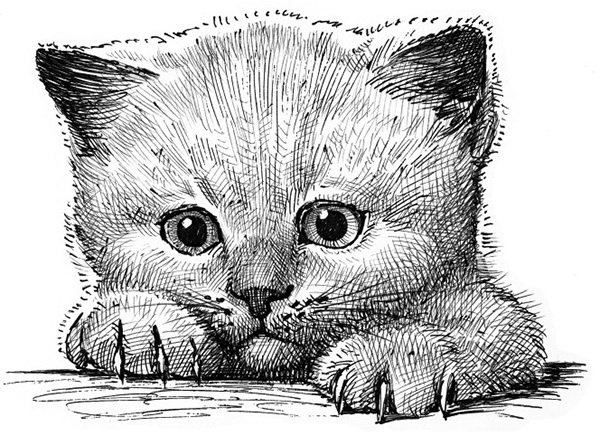 Иллюстрация к книге — Мильтон и Булька [_009.jpg]