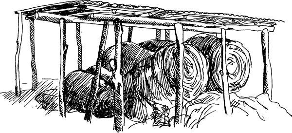 Иллюстрация к книге — Мильтон и Булька [_010.jpg]