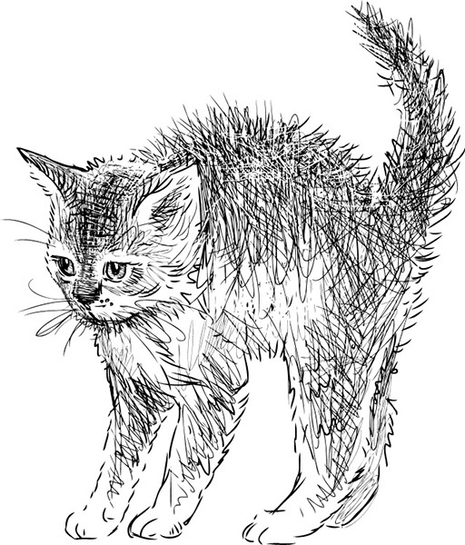 Иллюстрация к книге — Мильтон и Булька [_011.jpg]