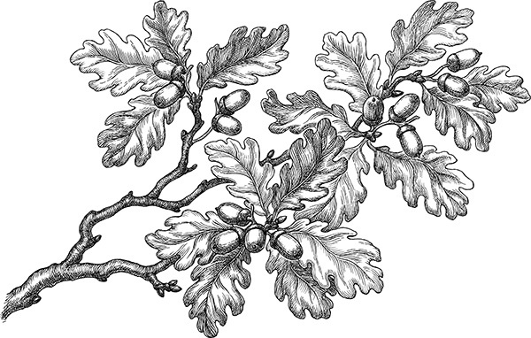 Иллюстрация к книге — Мильтон и Булька [_0162.jpg]