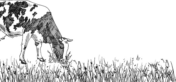 Иллюстрация к книге — Мильтон и Булька [_018.jpg]