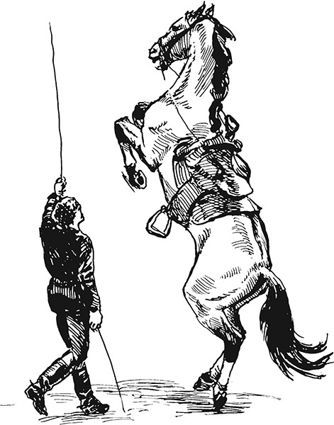 Иллюстрация к книге — Мильтон и Булька [_026.jpg]