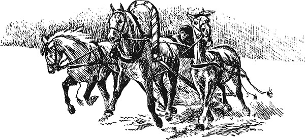 Иллюстрация к книге — Мильтон и Булька [_035.jpg]