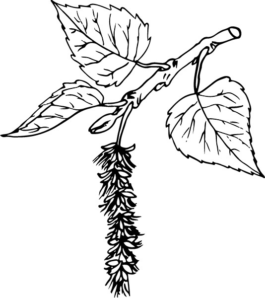 Иллюстрация к книге — Мильтон и Булька [_038.jpg]