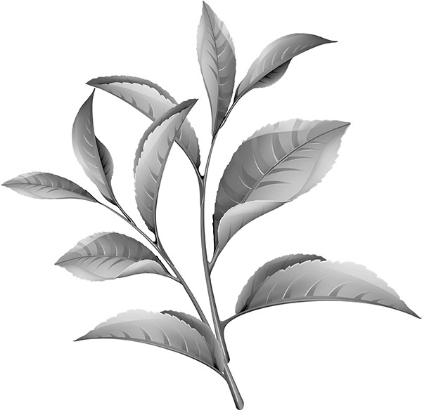 Иллюстрация к книге — Мильтон и Булька [_047.jpg]