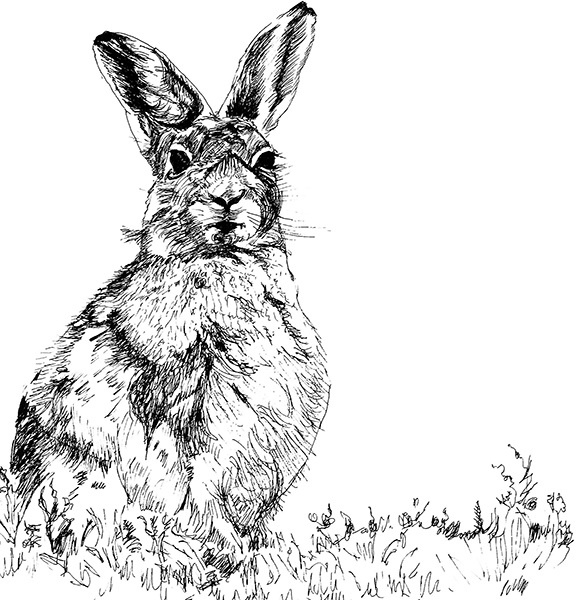 Иллюстрация к книге — Мильтон и Булька [_058.jpg]