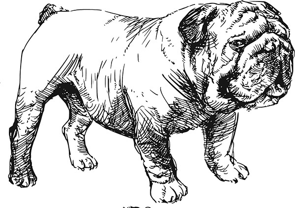 Иллюстрация к книге — Мильтон и Булька [_060.jpg]