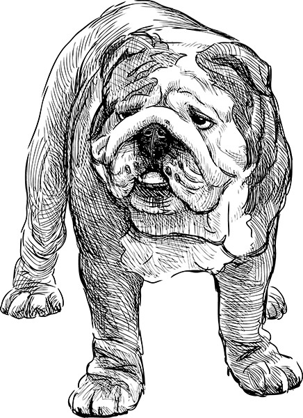 Иллюстрация к книге — Мильтон и Булька [_063.jpg]