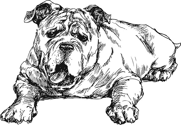 Иллюстрация к книге — Мильтон и Булька [_072.jpg]