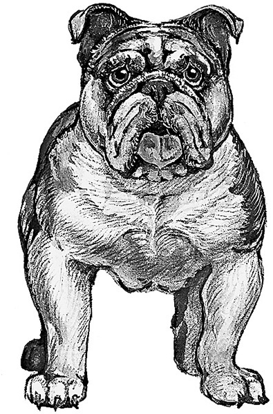 Иллюстрация к книге — Мильтон и Булька [_073.jpg]