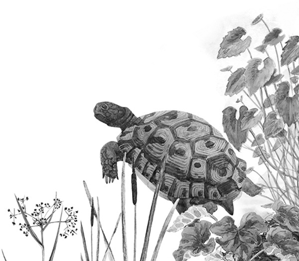 Иллюстрация к книге — Мильтон и Булька [_075.jpg]