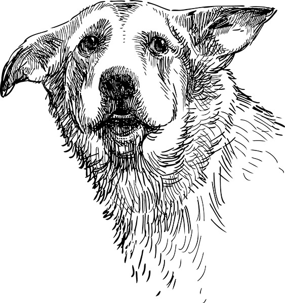 Иллюстрация к книге — Мильтон и Булька [_085.jpg]