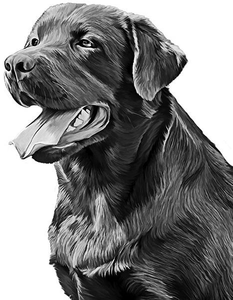 Иллюстрация к книге — Мильтон и Булька [_093.jpg]