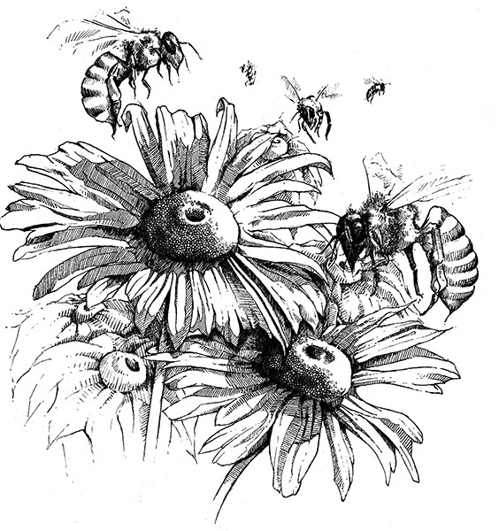 Иллюстрация к книге — Мильтон и Булька [_103.jpg]