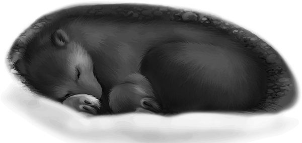 Иллюстрация к книге — Мильтон и Булька [_108.jpg]